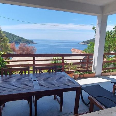 Apartment Kristic - Saplunara, Mljet Babino Polje Εξωτερικό φωτογραφία