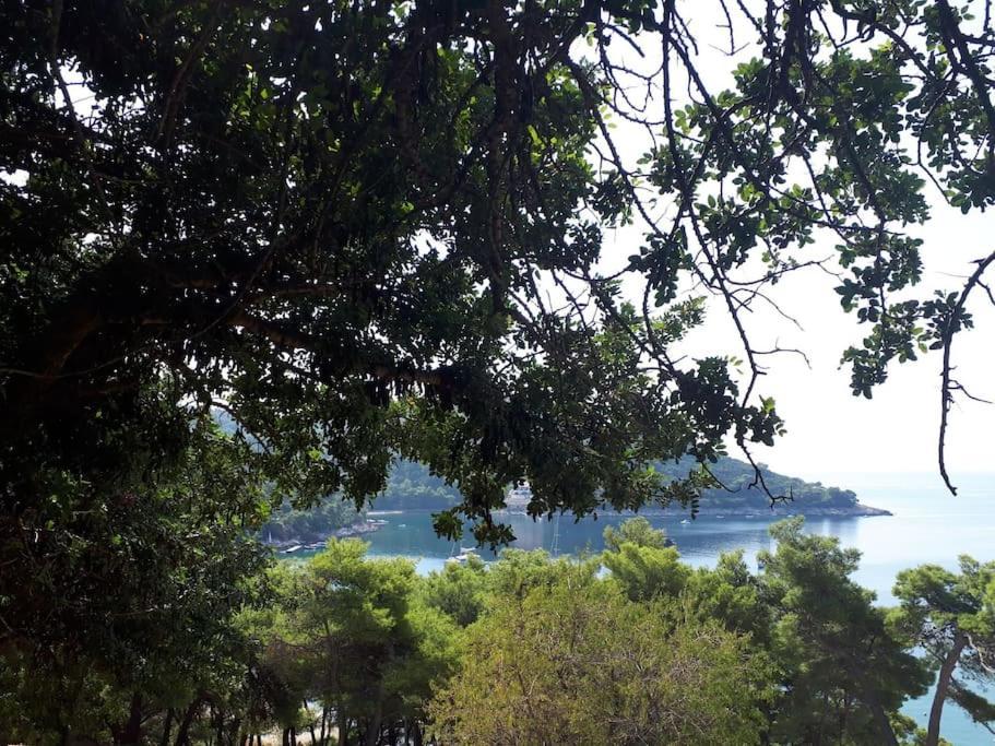 Apartment Kristic - Saplunara, Mljet Babino Polje Εξωτερικό φωτογραφία