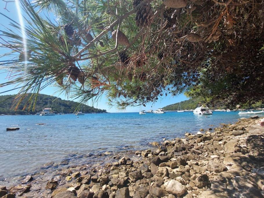Apartment Kristic - Saplunara, Mljet Babino Polje Εξωτερικό φωτογραφία