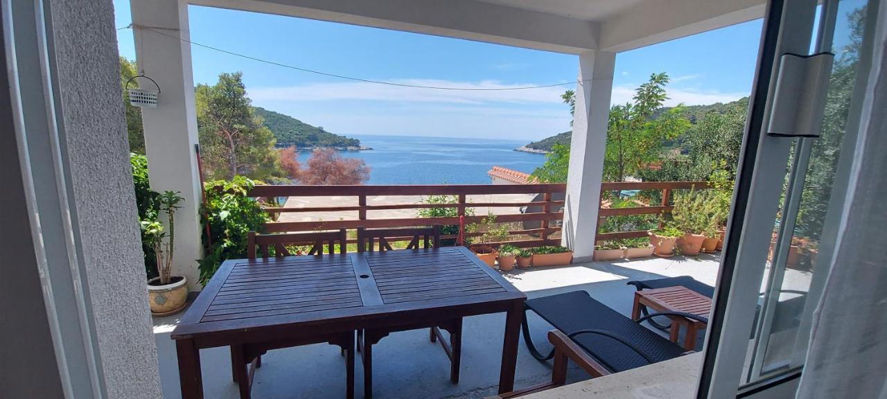 Apartment Kristic - Saplunara, Mljet Babino Polje Εξωτερικό φωτογραφία
