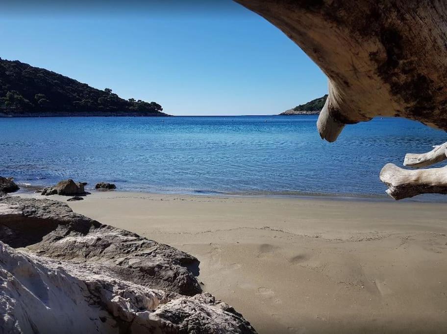 Apartment Kristic - Saplunara, Mljet Babino Polje Εξωτερικό φωτογραφία