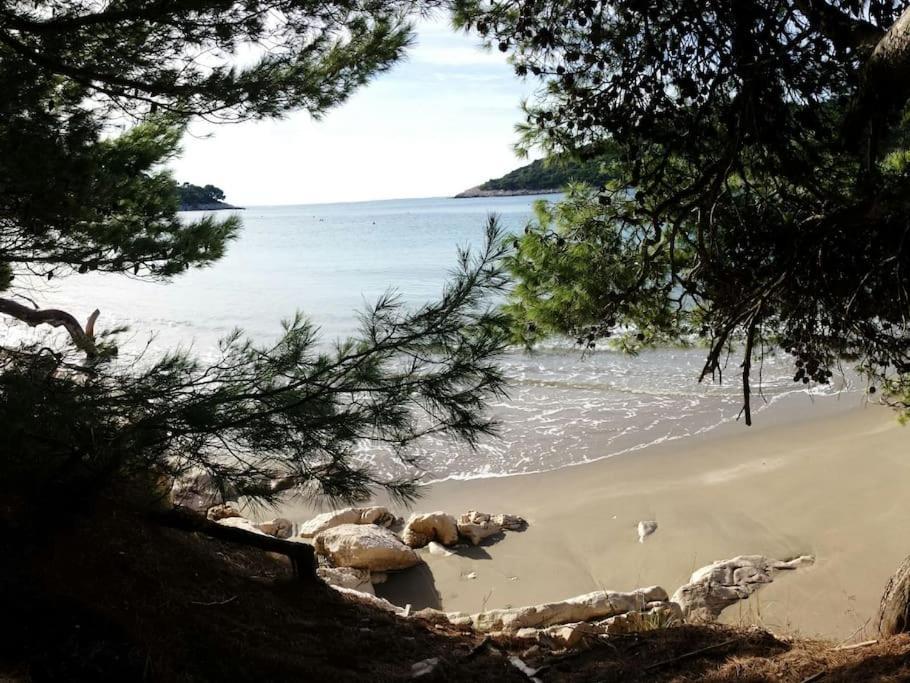Apartment Kristic - Saplunara, Mljet Babino Polje Εξωτερικό φωτογραφία