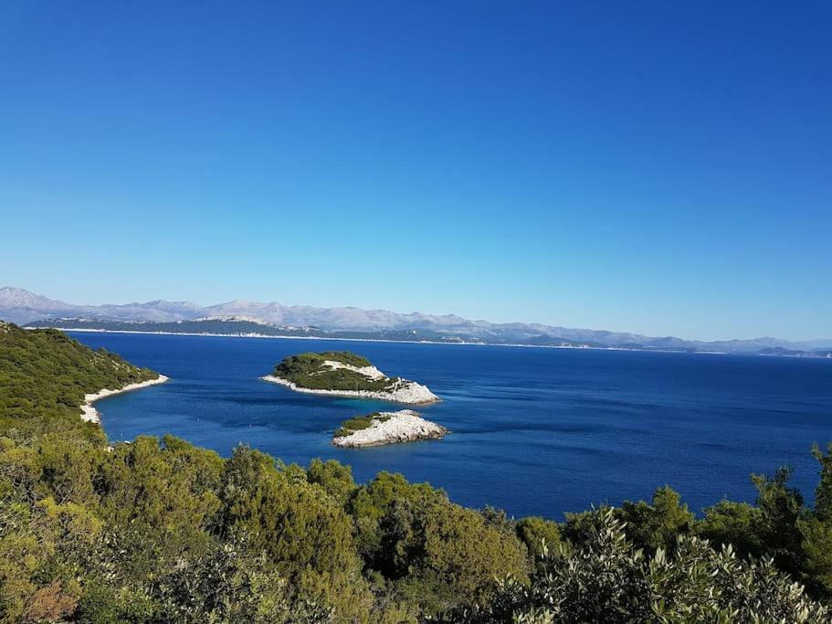 Apartment Kristic - Saplunara, Mljet Babino Polje Εξωτερικό φωτογραφία