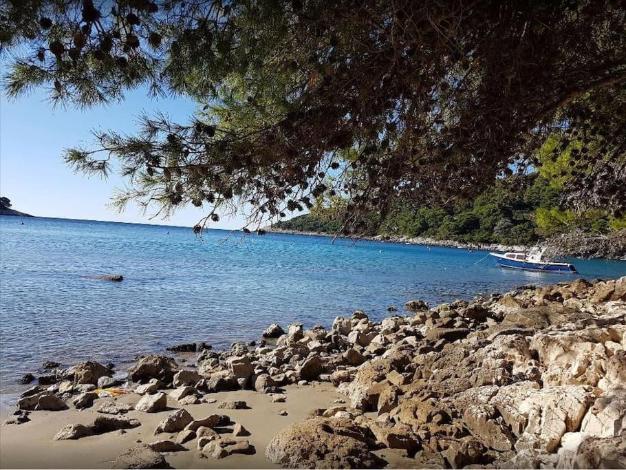 Apartment Kristic - Saplunara, Mljet Babino Polje Εξωτερικό φωτογραφία
