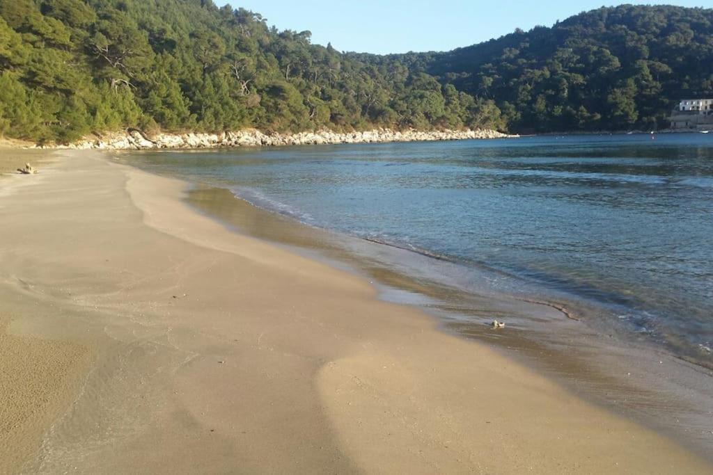 Apartment Kristic - Saplunara, Mljet Babino Polje Εξωτερικό φωτογραφία