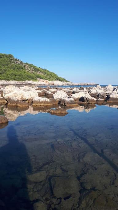 Apartment Kristic - Saplunara, Mljet Babino Polje Εξωτερικό φωτογραφία