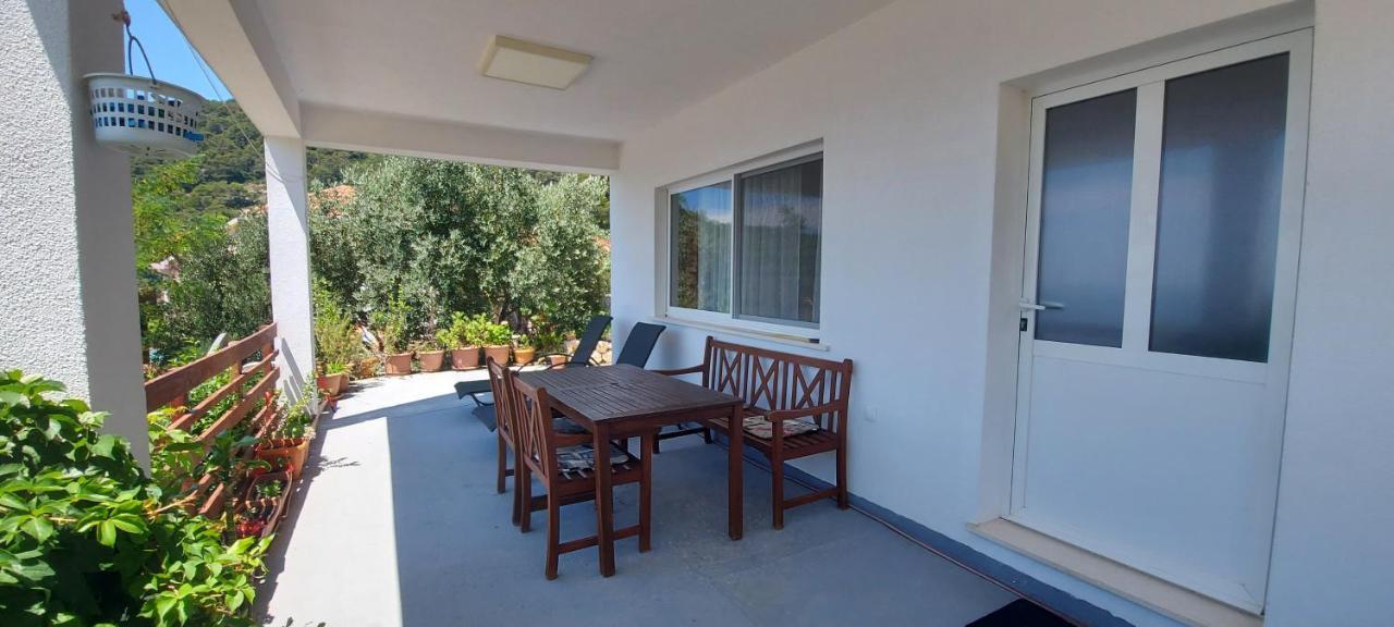 Apartment Kristic - Saplunara, Mljet Babino Polje Εξωτερικό φωτογραφία